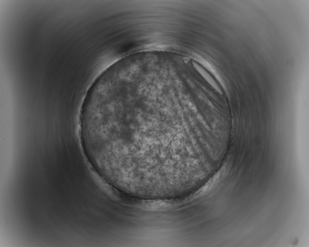 X0000091651042200709201122