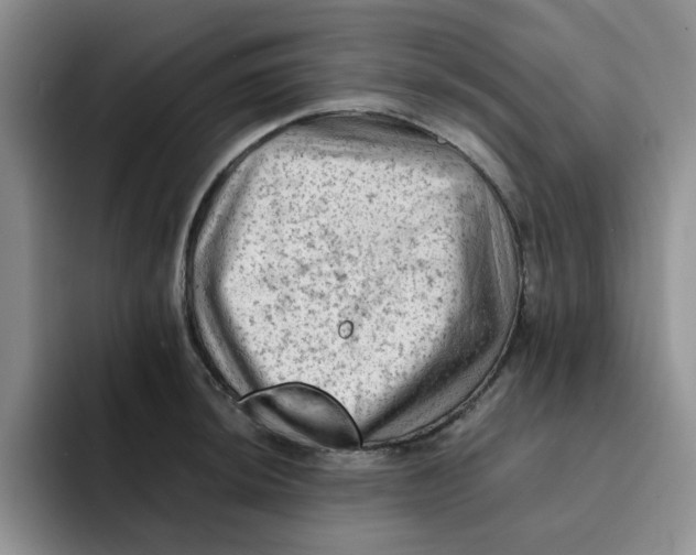 X0000091651044200709201122