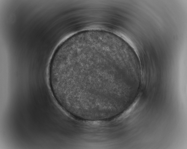 X0000091651045200709201122