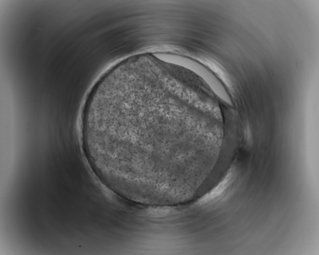 X0000091651046200709201122