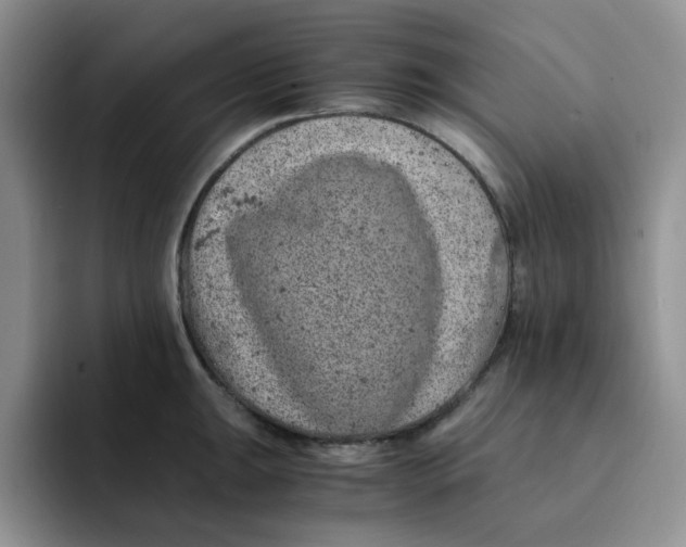 X0000091651047200709201122