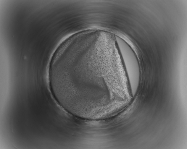 X0000091651048200709201122