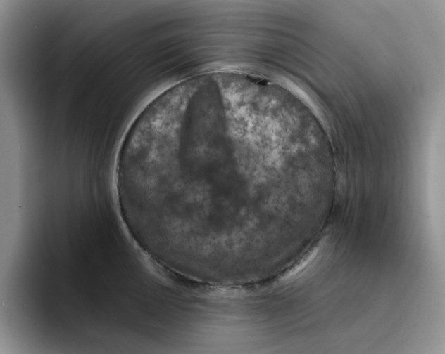 X0000091651050200709201122