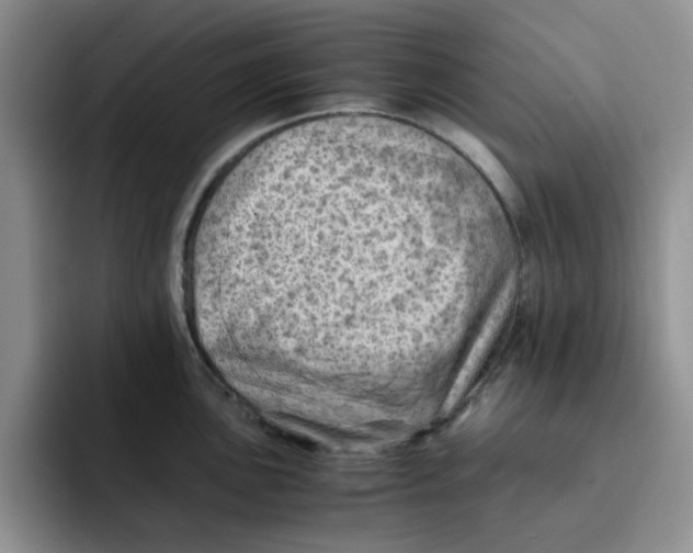 X0000091651051200709201123