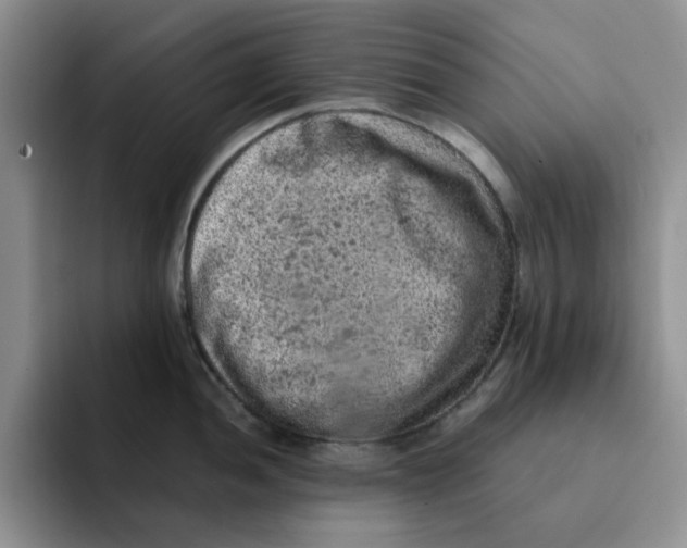 X0000091651052200709201123