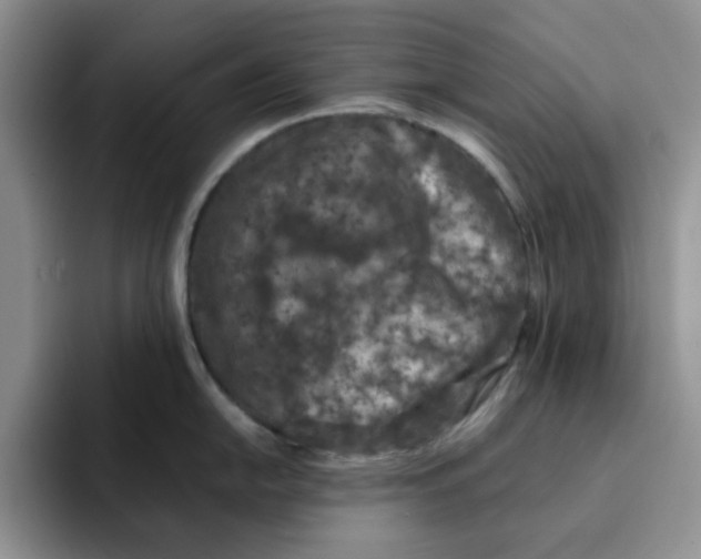 X0000091651054200709201123