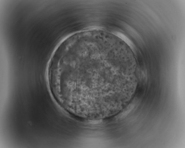 X0000091651055200709201123