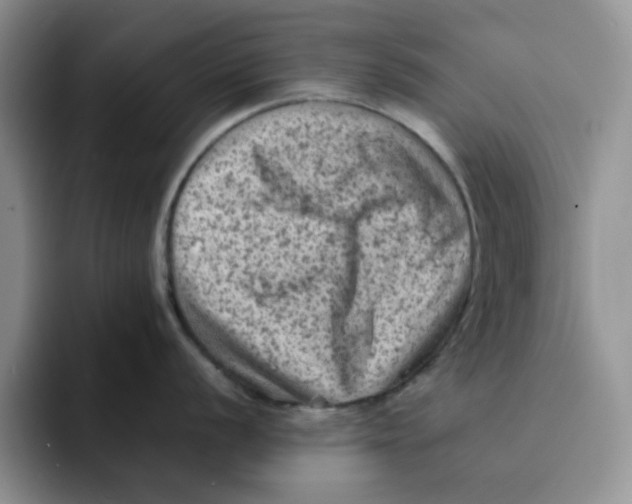 X0000091651056200709201123