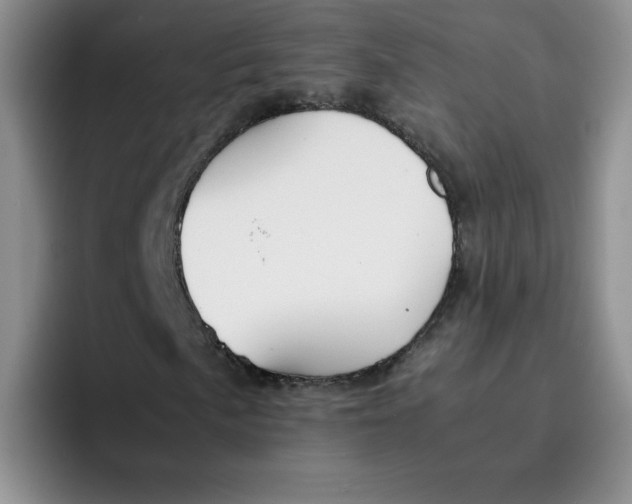 X0000091651057200709201122