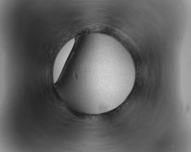 X0000091651058200709201122