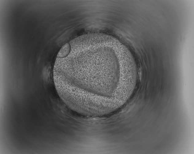 X0000091651059200709201122