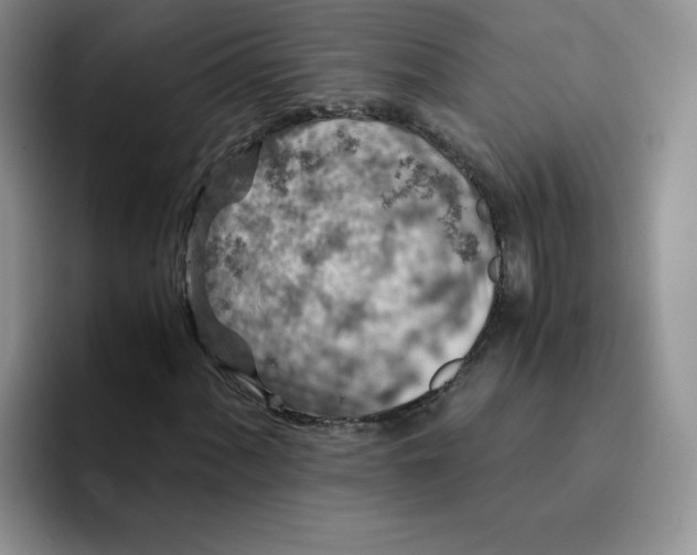 X0000091651060200709201122