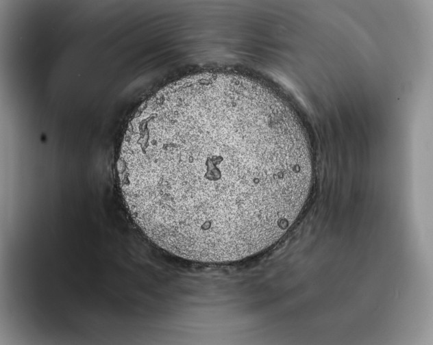 X0000091651063200709201122