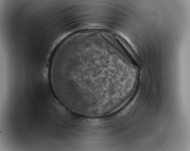 X0000091651066200709201122