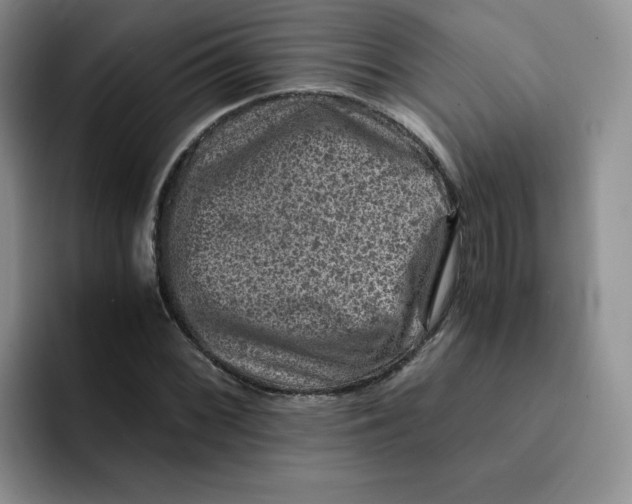 X0000091651068200709201122