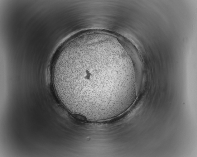 X0000091651069200709201122