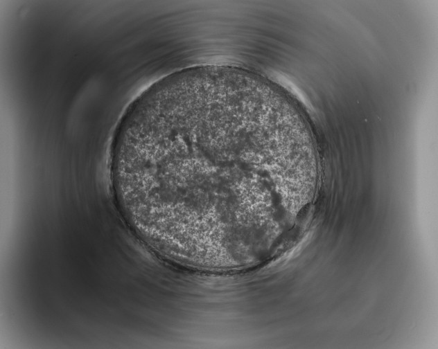 X0000091651071200709201122