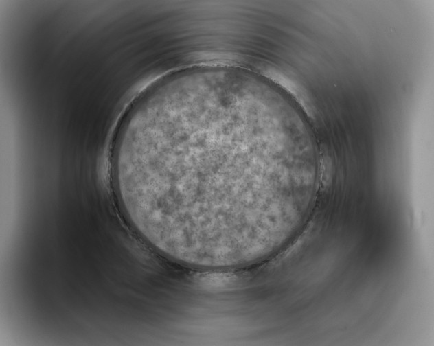 X0000091651074200709201122