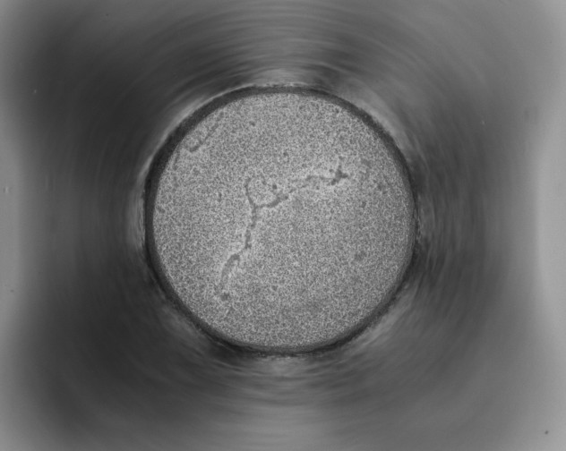 X0000091651075200709201122