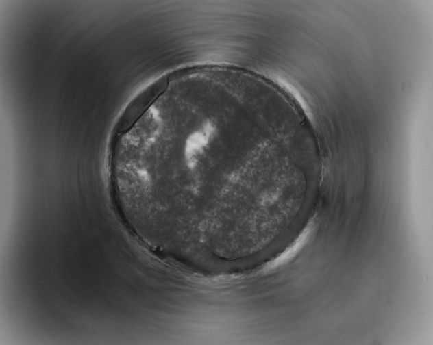 X0000091651077200709201122