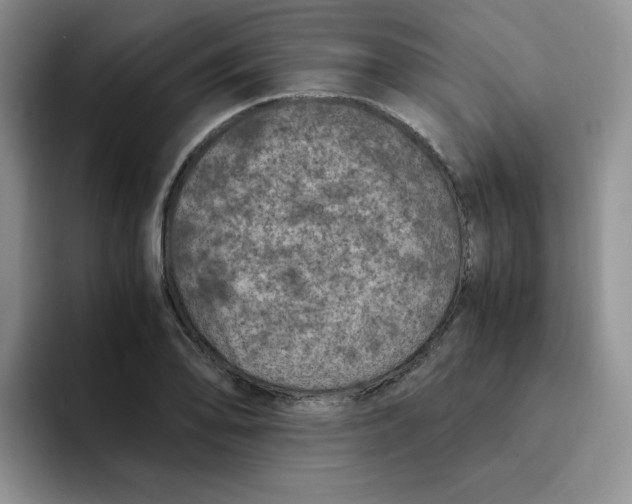 X0000091651078200709201122