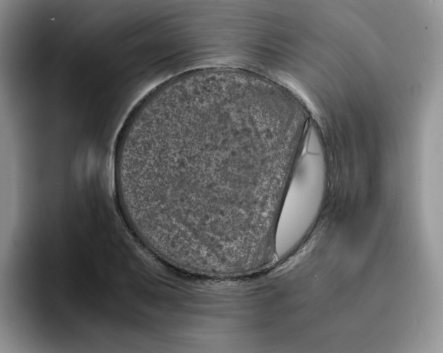 X0000091651079200709201122