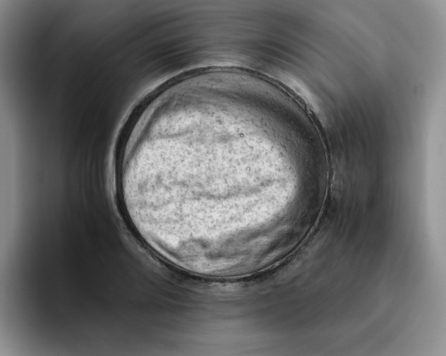 X0000091651080200709201122