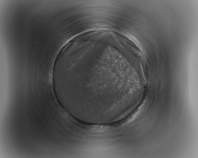 X0000091651081200709201122