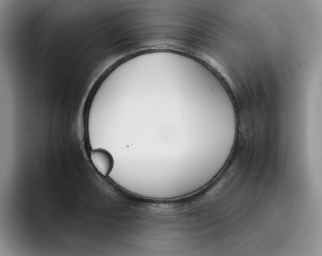 X0000091651082200709201122