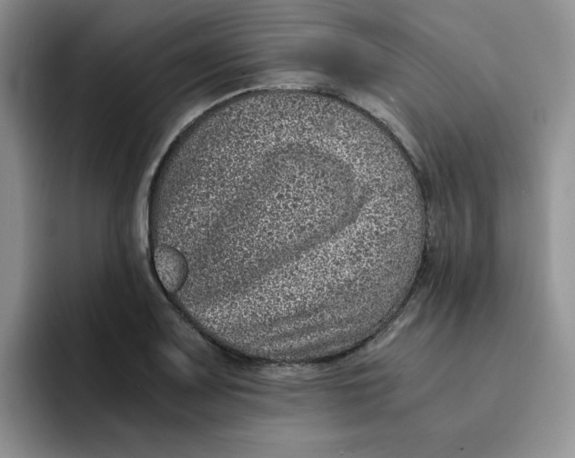 X0000091651083200709201122