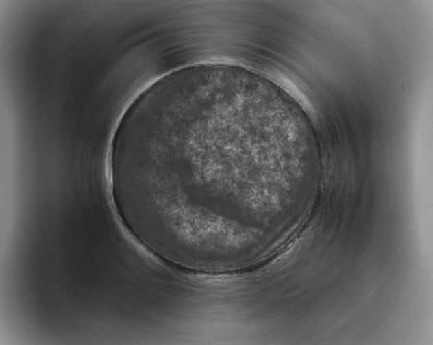 X0000091651084200709201122