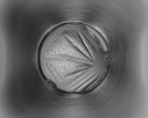 X0000091651085200709201122