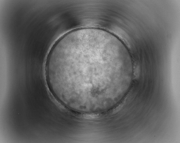 X0000091651086200709201122