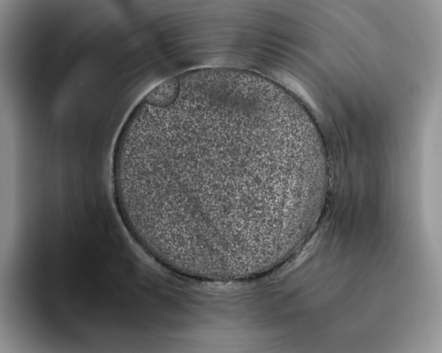 X0000091651087200709201122