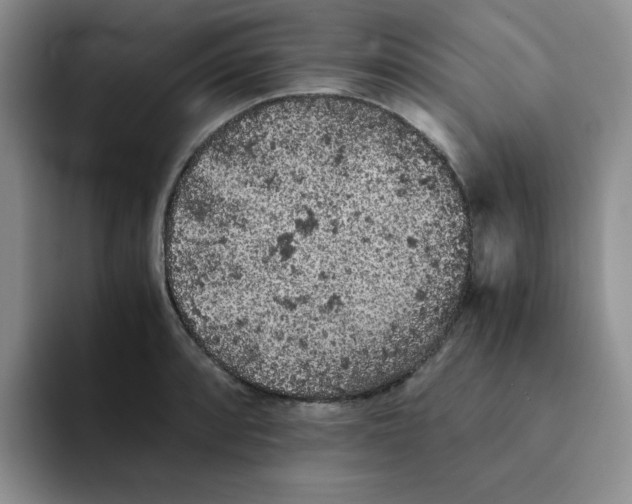 X0000091651088200709201122