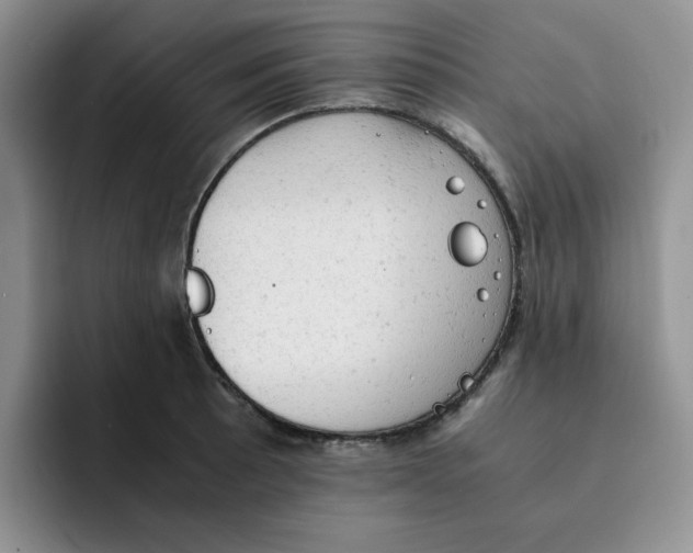 X0000091651089200709201122