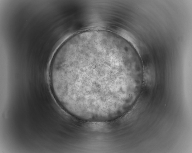 X0000091651090200709201122