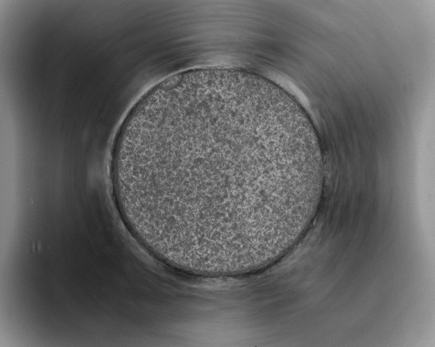 X0000091651091200709201122