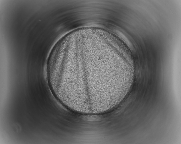 X0000091651092200709201122