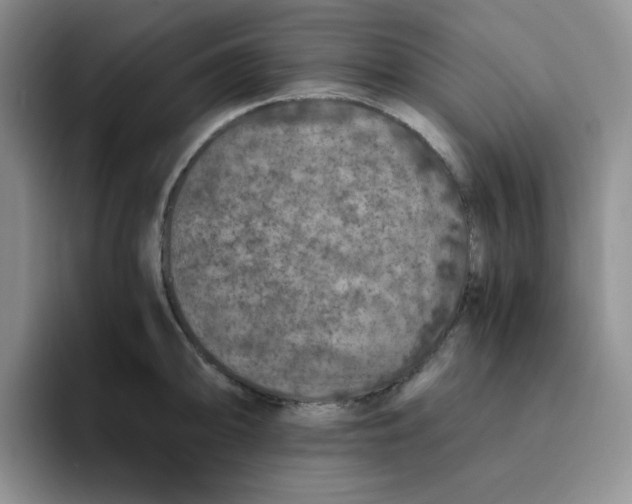 X0000091651094200709201122