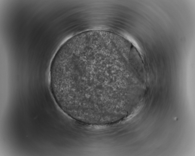 X0000091651095200709201122