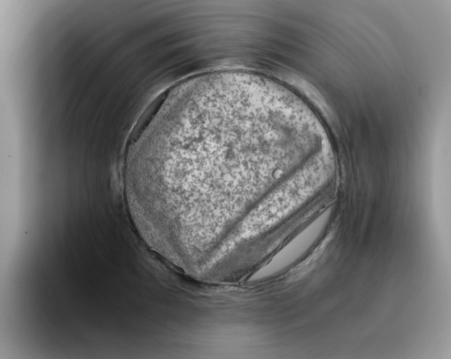 X0000091651097200709201122