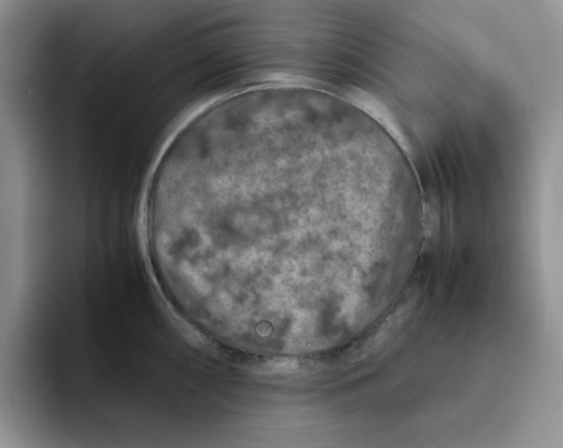 X0000091651098200709201122