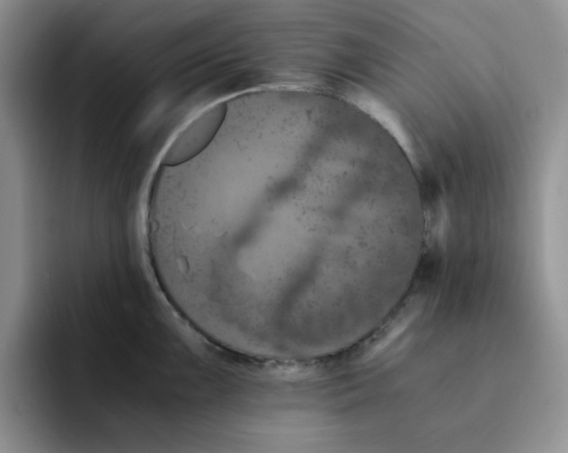 X0000091651099200709201122