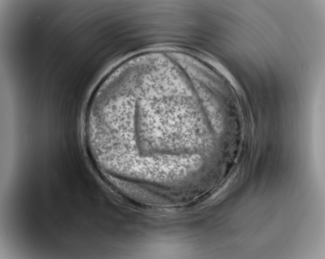 X0000091651101200709201121