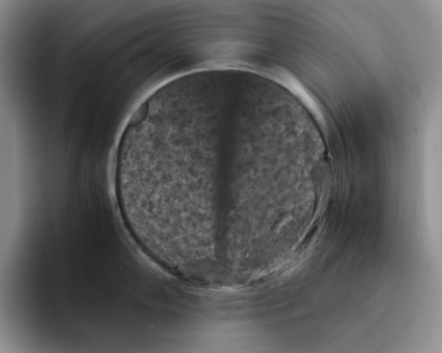 X0000091651102200709201121