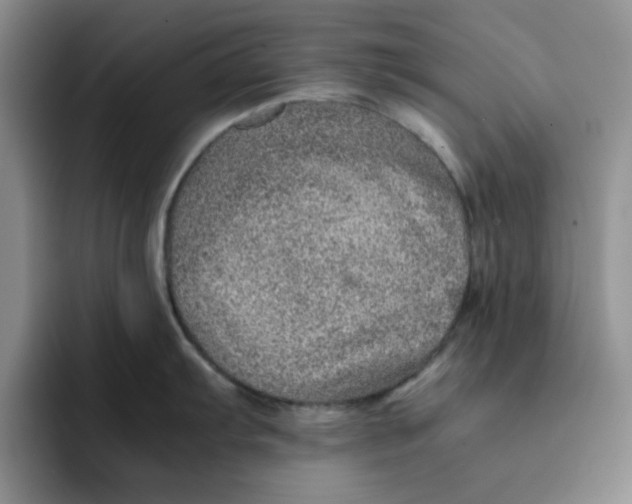 X0000091651103200709201121