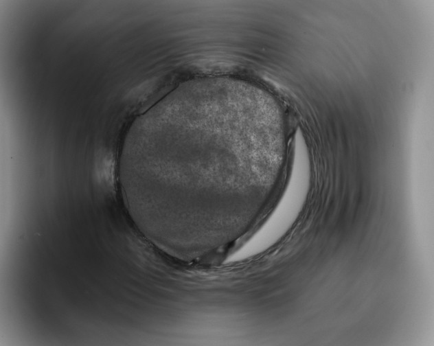 X0000091651108200709201121