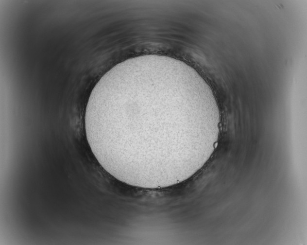 X0000091651109200709201121