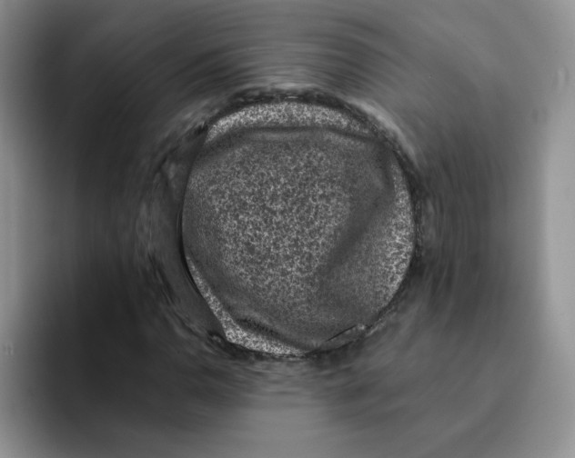 X0000091651110200709201121